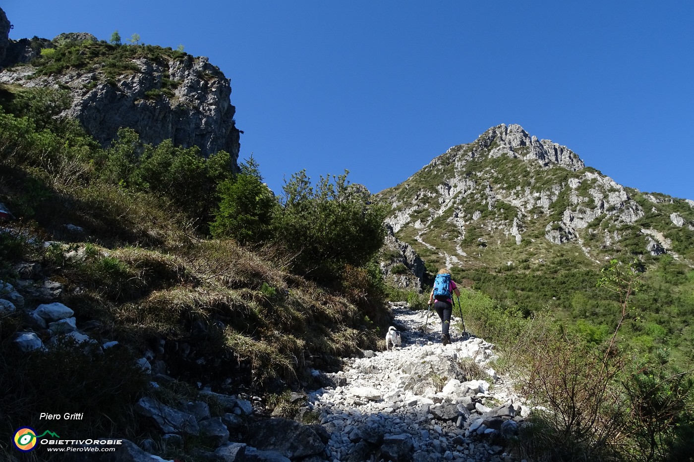 11 Salendo il canalone per il Col dei Brassamonti.JPG